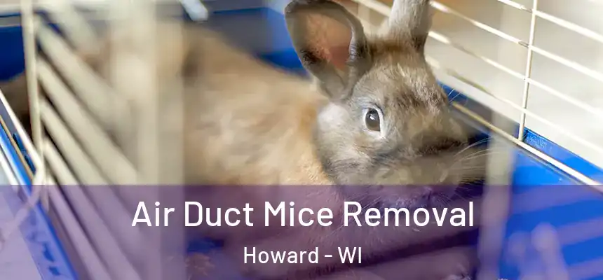 Air Duct Mice Removal Howard - WI
