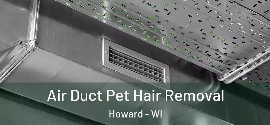 Air Duct Pet Hair Removal Howard - WI