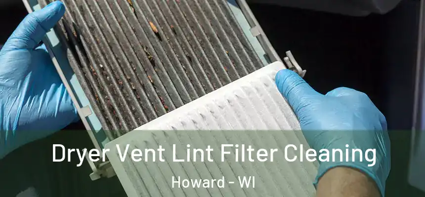  Dryer Vent Lint Filter Cleaning Howard - WI