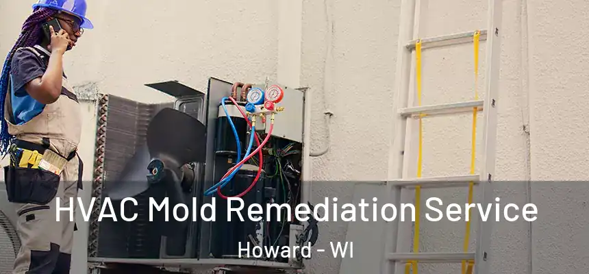  HVAC Mold Remediation Service Howard - WI