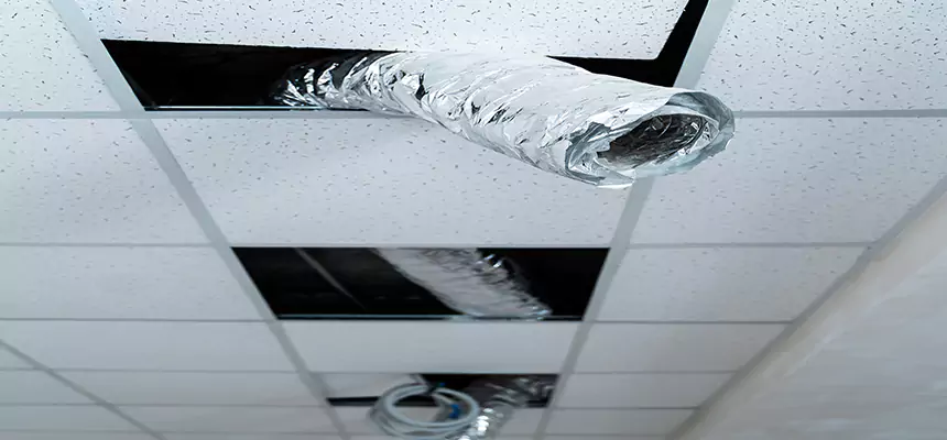 Affordable HVAC Sanitizing After Pest Removal in Howard