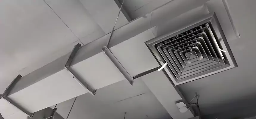 Our Pest Removal From Ducts Services in Howard, WI