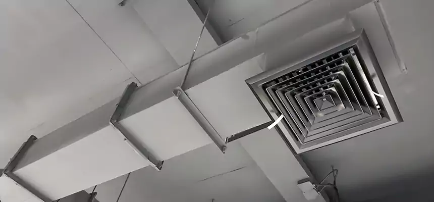 Our Rodent Droppings In Vents Services in Howard, WI