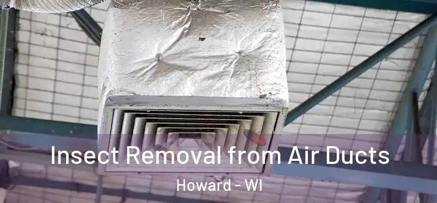  Insect Removal from Air Ducts Howard - WI